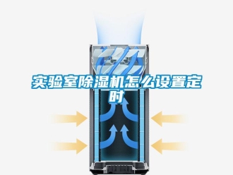 行業新聞實驗室除濕機怎么設置定時