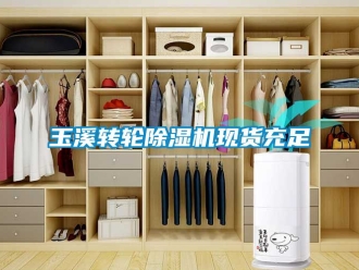 常見(jiàn)問(wèn)題玉溪轉(zhuǎn)輪除濕機(jī)現(xiàn)貨充足