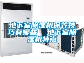 行業(yè)新聞地下室除濕機(jī)保養(yǎng)技巧有哪些  地下室除濕機(jī)特點