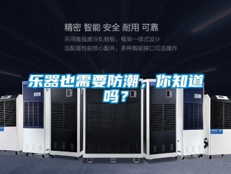 常見(jiàn)問(wèn)題樂(lè)器也需要防潮，你知道嗎？