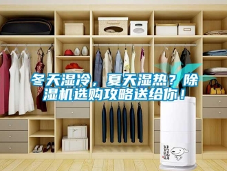 行業新聞冬天濕冷，夏天濕熱？除濕機選購攻略送給你！