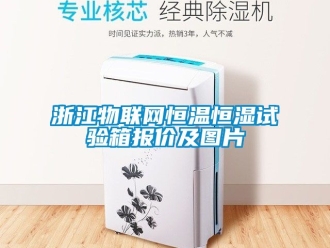 知識百科浙江物聯網恒溫恒濕試驗箱報價及圖片