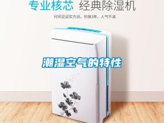 企業(yè)新聞潮濕空氣的特性