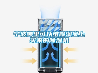 行業(yè)新聞寧波哪里可以維修淘寶上買來的除濕機