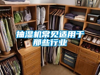 企業新聞抽濕機常見適用于那些行業