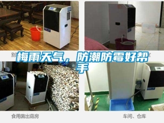 行業(yè)新聞梅雨天氣，防潮防霉好幫手