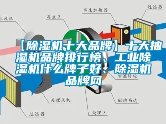 常見問題【除濕機十大品牌】十大抽濕機品牌排行榜、工業(yè)除濕機什么牌子好、除濕機品牌網(wǎng)