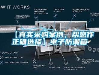 企業新聞【真實采購案例，幫您作正確選擇】電子防潮箱