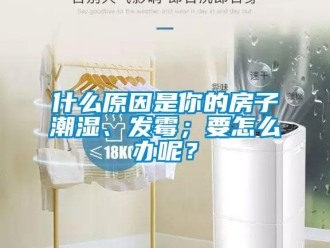 常見(jiàn)問(wèn)題什么原因是你的房子潮濕、發(fā)霉；要怎么辦呢？