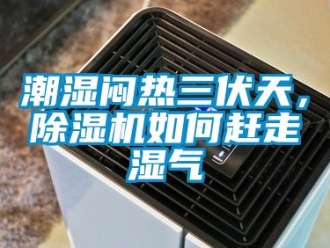 企業(yè)新聞潮濕悶熱三伏天，除濕機(jī)如何趕走濕氣