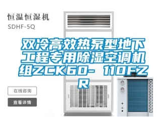 行業新聞雙冷高效熱泵型地下工程專用除濕空調機組ZCK60- 110FZR