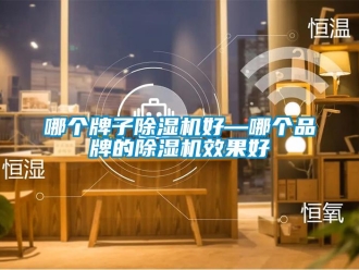 企業新聞哪個牌子除濕機好—哪個品牌的除濕機效果好