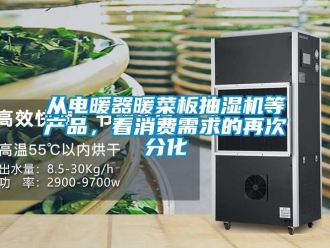 企業新聞從電暖器暖菜板抽濕機等產品，看消費需求的再次分化