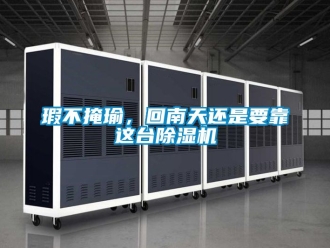 行業新聞瑕不掩瑜，回南天還是要靠這臺除濕機