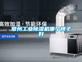 常見問題常州工業(yè)除濕機哪個牌子好