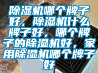 常見問題除濕機哪個牌子好，除濕機什么牌子好，哪個牌子的除濕機好，家用除濕機哪個牌子好