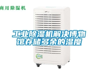 企業(yè)新聞工業(yè)除濕機(jī)解決博物館存儲(chǔ)多余的濕度