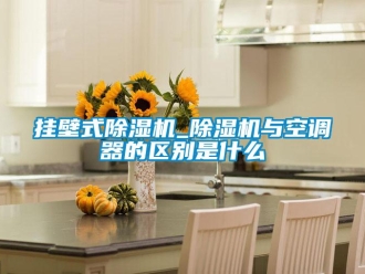 行業(yè)新聞掛壁式除濕機_除濕機與空調器的區(qū)別是什么