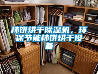 行業(yè)新聞柿餅烘干除濕機，環(huán)保節(jié)能柿餅烘干設備