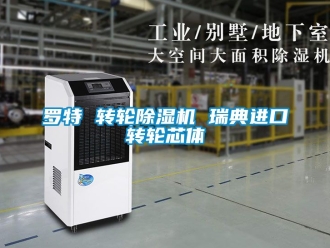常見問題羅特 轉輪除濕機 瑞典進口轉輪芯體