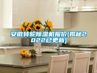 常見問題安徽轉輪除濕機報價(揭秘2022已更新)