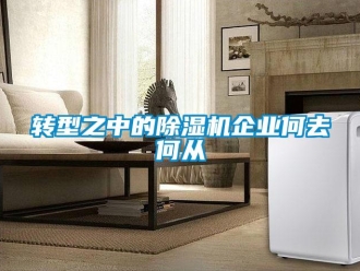 知識百科轉型之中的除濕機企業何去何從