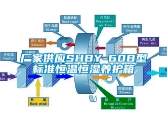 知識(shí)百科廠家供應(yīng)SHBY-60B型標(biāo)準(zhǔn)恒溫恒濕養(yǎng)護(hù)箱