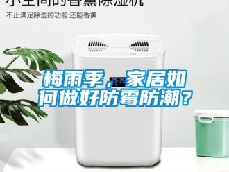 常見問題梅雨季，家居如何做好防霉防潮？