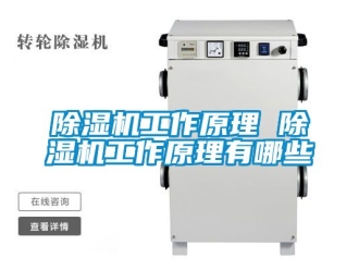 行業新聞除濕機工作原理 除濕機工作原理有哪些