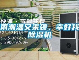 知識百科陰雨潮濕又來襲，幸好我有除濕機