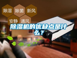 企業新聞除濕機的優缺點是什么？