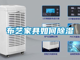 常見問題布藝家具如何除濕