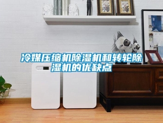 常見問題冷媒壓縮機除濕機和轉輪除濕機的優缺點