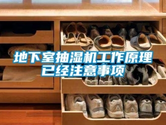 企業(yè)新聞地下室抽濕機(jī)工作原理已經(jīng)注意事項(xiàng)