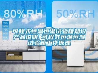 知識百科可程式恒溫恒濕試驗箱知識產品說明 可程式恒溫恒濕試驗箱工作原理