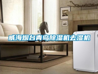 行業(yè)新聞威海煙臺(tái)青島除濕機(jī)去濕機(jī)