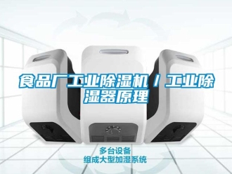 常見問題食品廠工業除濕機／工業除濕器原理