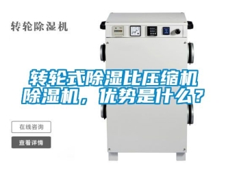 常見(jiàn)問(wèn)題轉(zhuǎn)輪式除濕比壓縮機(jī)除濕機(jī)，優(yōu)勢(shì)是什么？