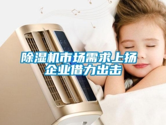 企業新聞除濕機市場需求上揚 企業借力出擊