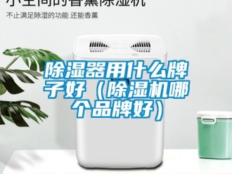 企業(yè)新聞除濕器用什么牌子好（除濕機(jī)哪個(gè)品牌好）