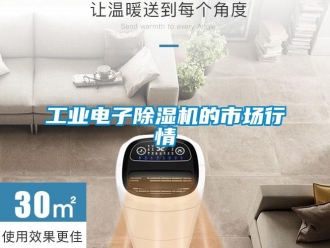 企業新聞工業電子除濕機的市場行情