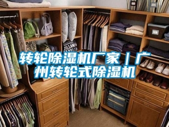 企業(yè)新聞轉(zhuǎn)輪除濕機(jī)廠家｜廣州轉(zhuǎn)輪式除濕機(jī)