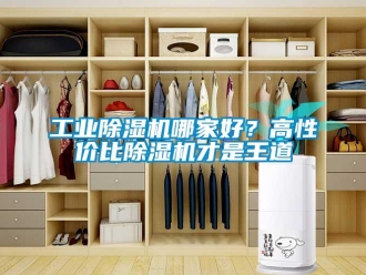 企業新聞工業除濕機哪家好？高性價比除濕機才是王道