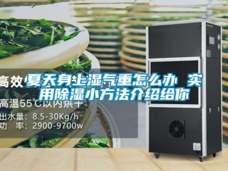 企業新聞夏天身上濕氣重怎么辦 實用除濕小方法介紹給你