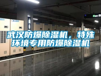 企業新聞武漢防爆除濕機，特殊環境專用防爆除濕機