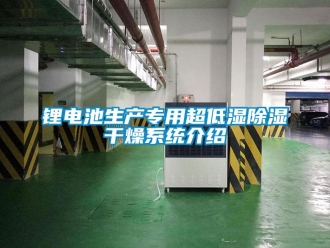 行業(yè)新聞鋰電池生產(chǎn)專用超低濕除濕干燥系統(tǒng)介紹