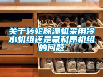 常見問題關于轉輪除濕機采用冷水機組還是氟利昂機組的問題