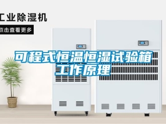 知識百科可程式恒溫恒濕試驗箱工作原理
