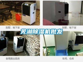 行業新聞蕪湖除濕機批發