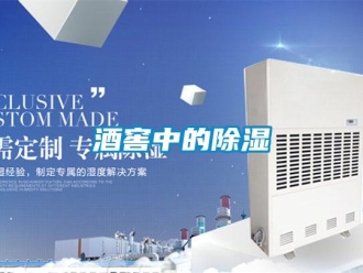 行業新聞酒窖中的除濕